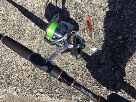 80cmオーバーのスズキ